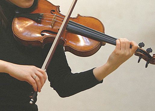 Деятельность педагога дополнительного образования при обучении игре на скрипке