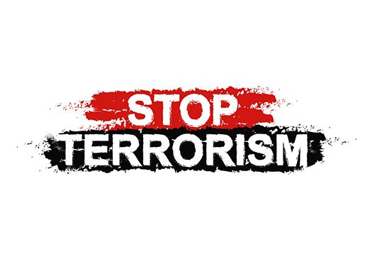 Противодействие терроризму и экстремизму в обеспечении безопасности образовательных организаций